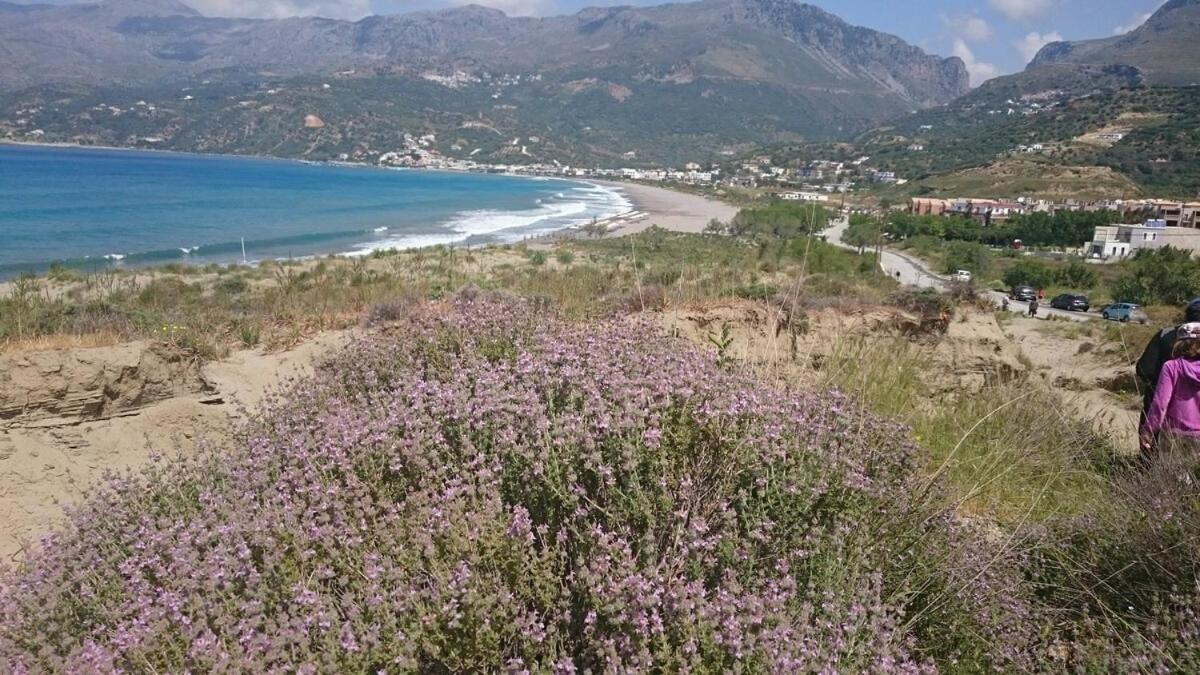 Annamaria Sea Side View Studio- 25M From The Beac Plakias Exterior foto